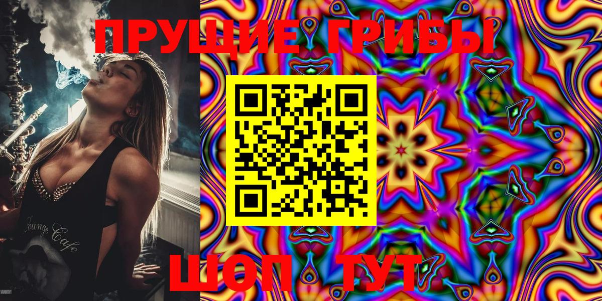 Галлюциногенные грибы MAGIC MUSHROOMS  Вход с VPN  Соль-Илецк 